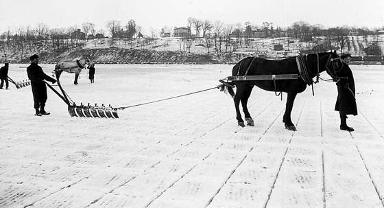 Ice Harvesting History